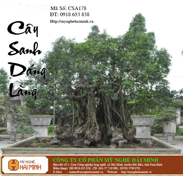 Do go my nghe Hai Minh - Hai Hau - Nam Dinh